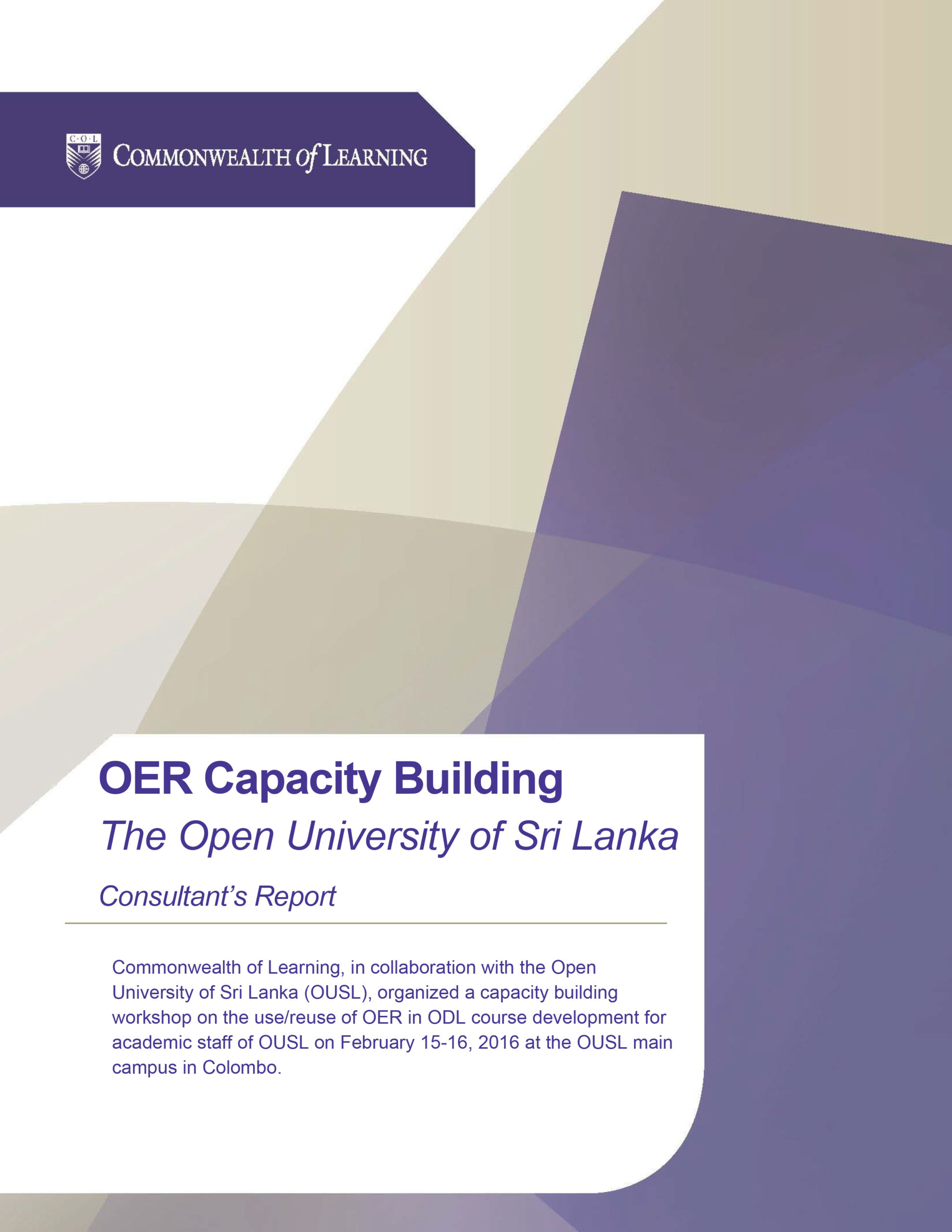 Cover image of OER Capacity building consultant's report