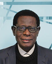 Profile photo of Professor Wale Adekunle